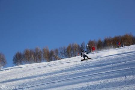 滑雪板 滑雪板