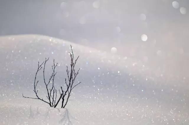 造雪機 造雪機